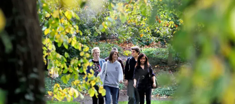 geos-school-studentstrees