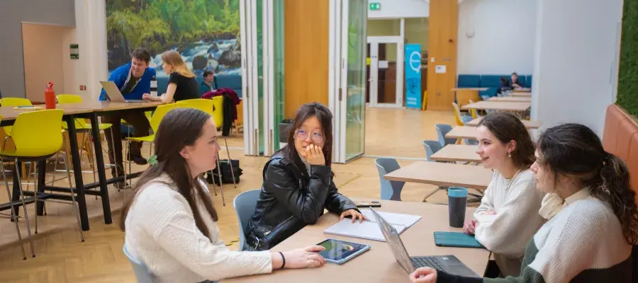 School of Chemistry students working together in the Social Space